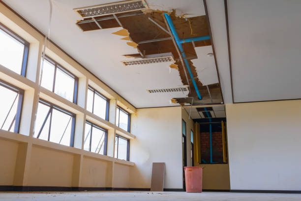 Best Water damage restoration near me  in St Francis, KS