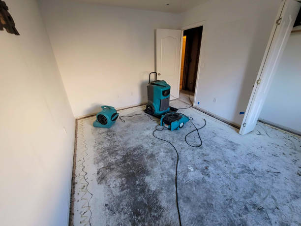 Best Fire Damage Restoration  in St Francis, KS