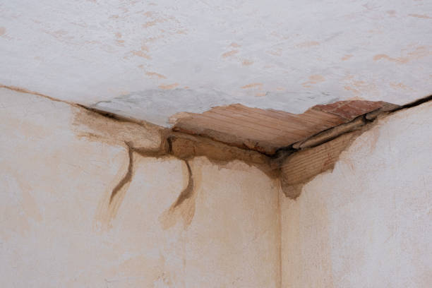 Best Local water damage restoration  in St Francis, KS