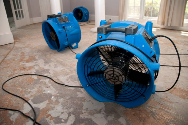 Best Water damage restoration cost  in St Francis, KS