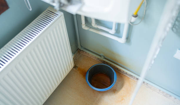 Best Water damage restoration near me  in St Francis, KS