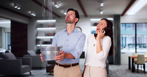Best Water damage cleanup near me  in St Francis, KS