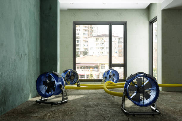 Best Fire Damage Restoration  in St Francis, KS